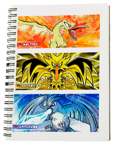 CUADERNO POKEMON AVES