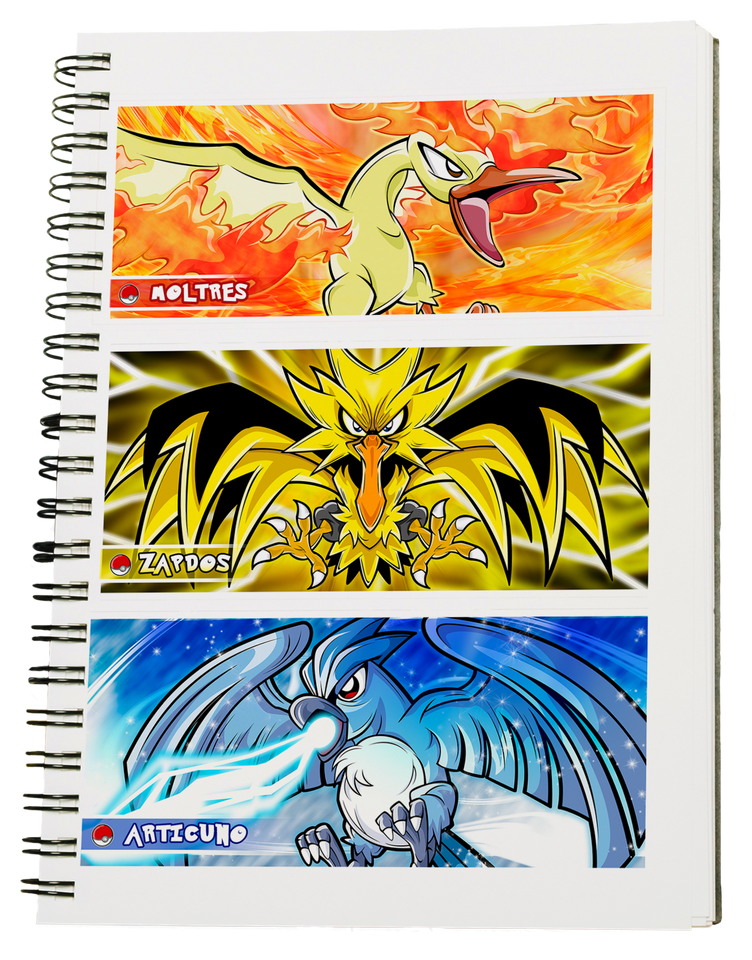 CUADERNO POKEMON AVES